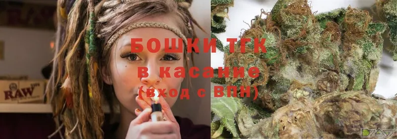 Бошки Шишки SATIVA & INDICA  цена наркотик  Спасск-Рязанский 